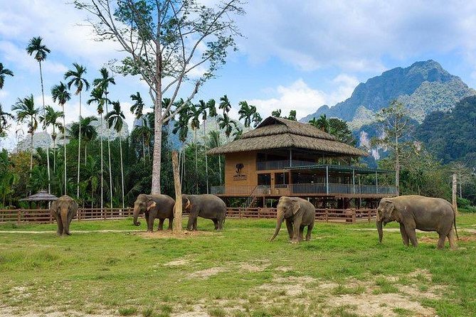 Khao Sok National Park Jungle Safari Full Day Tour from Phuket - The afternoon wrap-up and return with sunset views