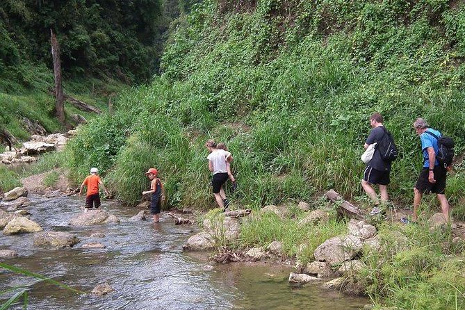 Khao Sok National Park Jungle Safari Full Day Tour from Phuket - Price and value: what $243.19 buys you in practice