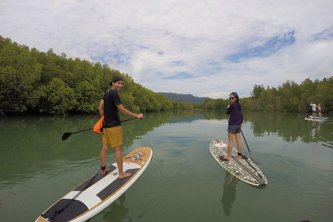 Mangroves SUP Tour Phuket - Why Phuket Mangrove SUP Feels Different from Usual Beach Water