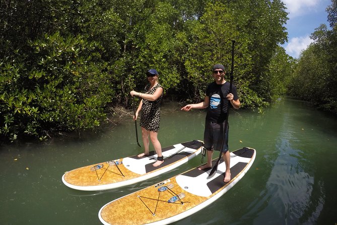 Mangroves SUP Tour Phuket - Tips to make your day smoother on the water