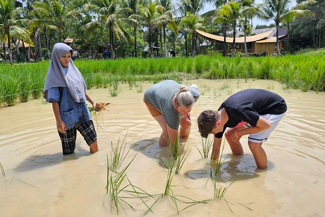 Old Phuket Farm Ticket - Countryside Local Life Culture - Should you book Old Phuket Farm?