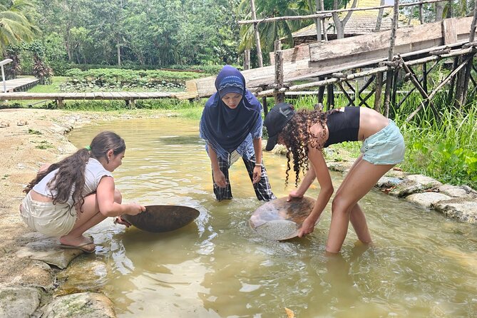 Old Phuket Farm Ticket - Countryside Local Life Culture - Buffalo, rubber trees, and the farming timeline you can actually follow