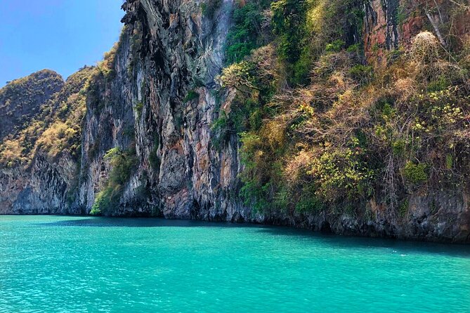 Phang Nga Bay Private Bioluminescence and Sea Canoeing Tour - Price and value: $1,303.86 per group, and what that buys you
