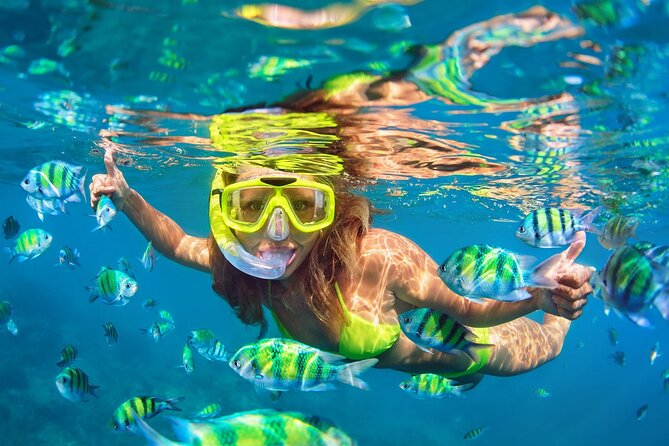 Phi Phi and Khai Islands Snorkeling Tour with Lunch by Speedboat - Getting to Royal Phuket Marina from Phuket without a headache