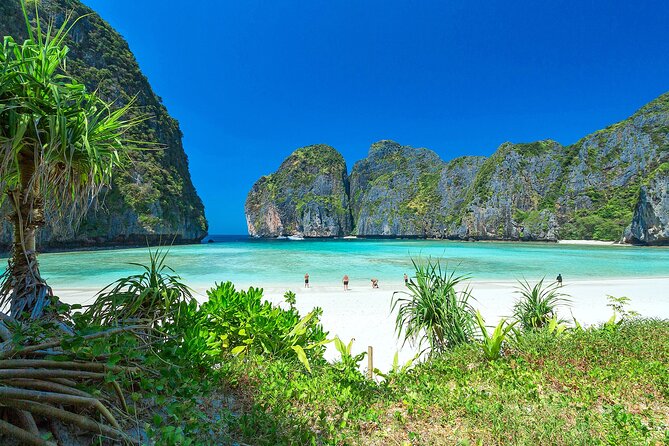 Phi Phi & Bamboo Island Full Day Tour by Premium Speed-Catamaran - Bamboo Island: 1 hour to relax or snorkel from shore