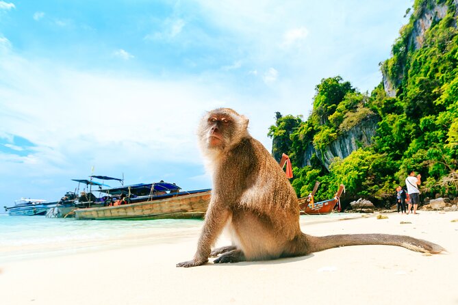 Phi Phi, James Bond & Krabi Overnight - Exclusive 2D1N - Pileh Bay: Swimming and Cliff Jumping Options