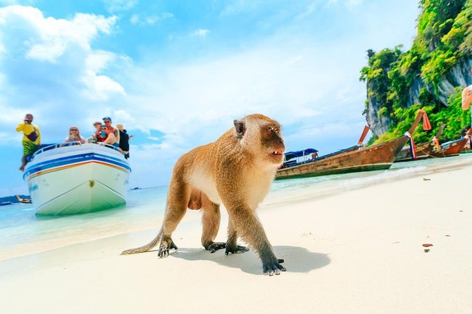 Phi Phi , Khai & Maya : Unforgettable Island Hopping by Speedboat - Price and value: what your $51.51 covers and what to budget for