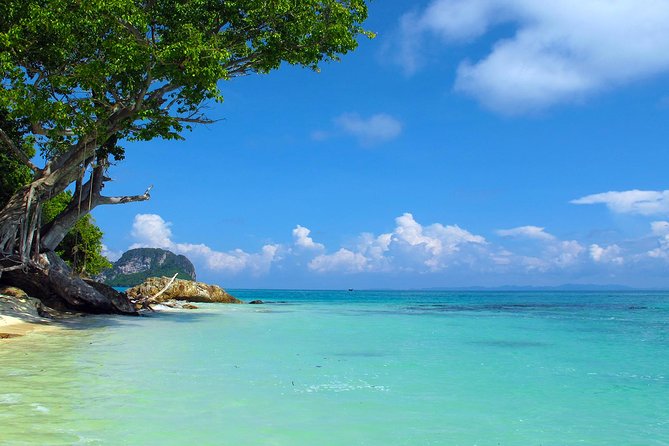 Phi Phi & Maya Bay Speedboat: All-Day Food & Choice of 3 Marinas - Phi Phi Don Lunch Break: Where the Day Feels Worth It