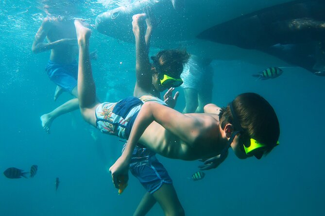 Phuket 3 Khai Island Speedboat With Snorkeling (Half or Full Day) - Snorkeling Gear, Life Jackets, and Beginner Comfort