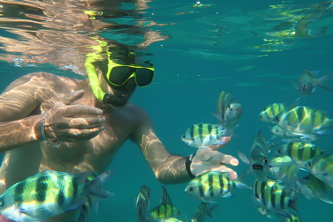 Phuket 3 Khai Island Speedboat With Snorkeling (Half or Full Day) - Half-Day vs Full-Day: Which Schedule Fits Your Crowd Tolerance