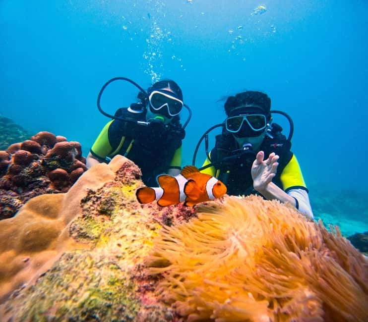 Phuket: 3 Khai Islands Speedboat Tour- Snorkeling & Relaxing - Key points before you go