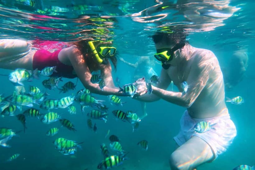 Phuket: 3 Khai Islands Speedboat Tour- Snorkeling & Relaxing - Optional scuba session stop: how it fits in