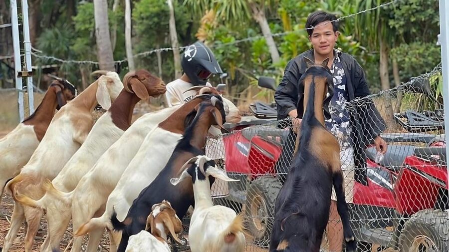 Phuket: ATV Ride with Secret Sea Viewpoints and Swing - Timing, pacing, and how the 150 minutes actually feel