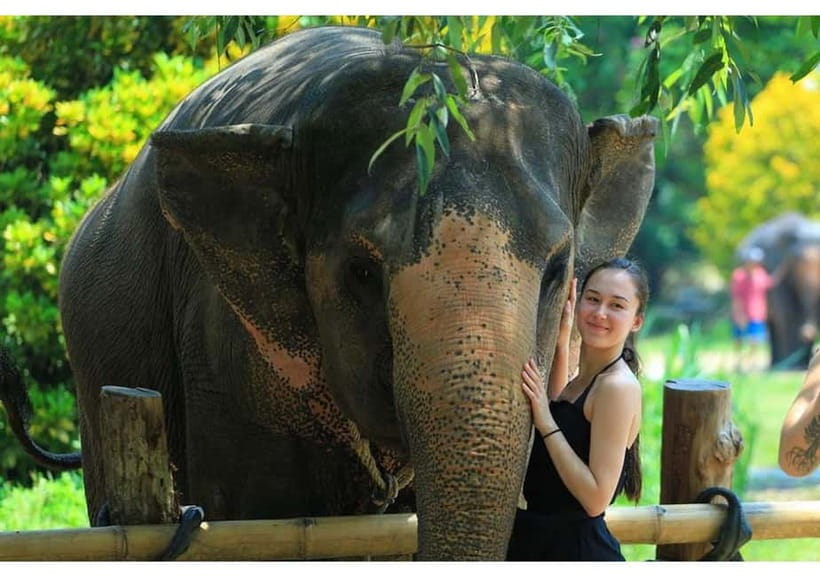 Phuket: Bamboo Rafting & ATV Ride (Optional) - ATV Ride in the Jungle: Fun Rush With a Real-Time Expectation Check