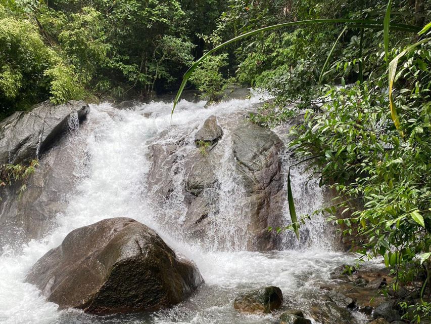 Phuket: Bamboo Rafting, Monkey Cave, and ATV Option - Thai lunch with seasonal fruit: not just filling, it’s smart timing