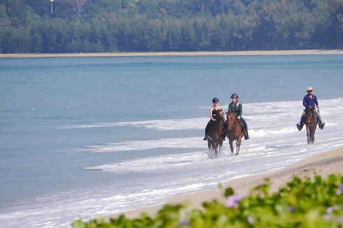 Phuket Beach and Horse Rides 1 Hour Experience - What you get for your money, and what you pay yourself