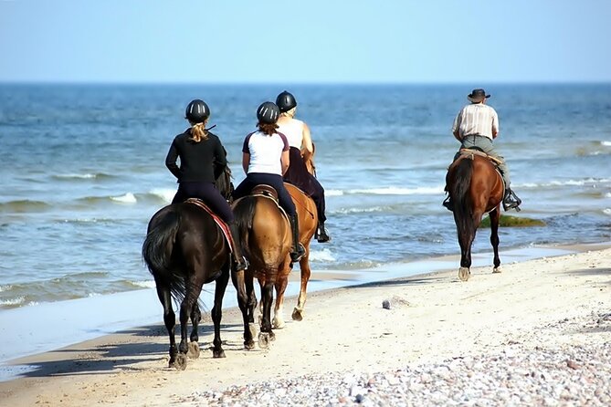 Phuket Beach and Horse Rides 1 Hour Experience - Timing in Phuket: morning rides feel better