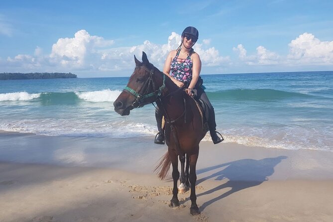 Phuket Beach and Horse Rides 1 Hour Experience - Who this Phuket beach horse ride fits best