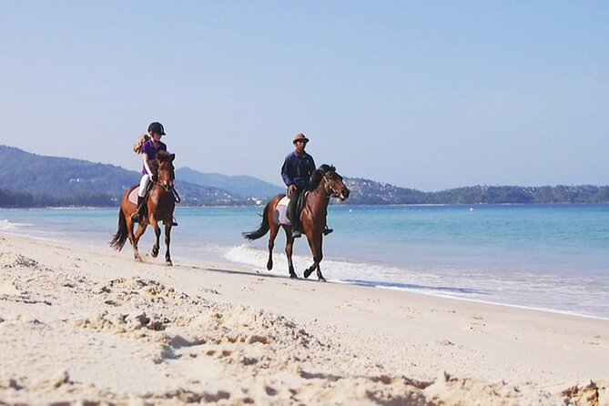 Phuket Beach and Horse Rides 1 Hour Experience - Should you book Phuket Beach and Horse Rides?