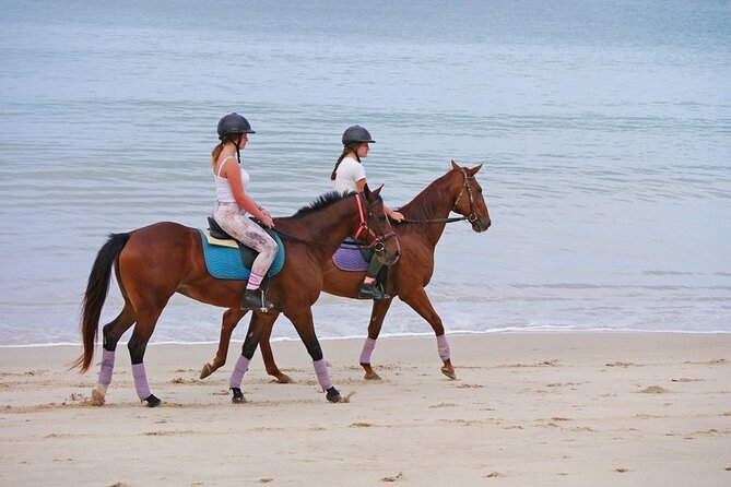 Phuket Beach and Horse Rides 1 Hour Experience - The beach ride itself: Kamala Beach, waves, and sea breeze