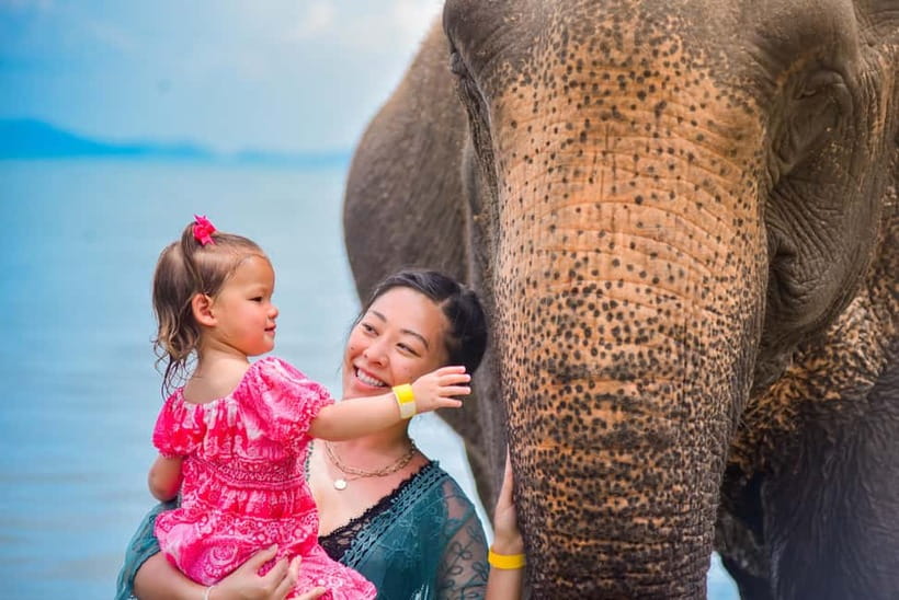 Phuket:Beach walk with elephants, rain & care. 2.5 hours - Lily Elephant Camp: a coastal sanctuary in Phuket