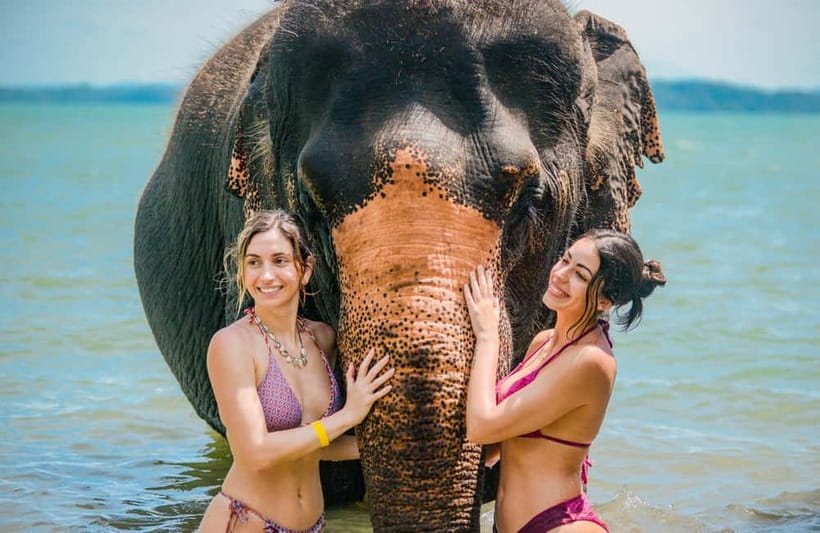 Phuket:Beach walk with elephants, rain & care. 2.5 hours - Ethical elephant care, and why this sanctuary model can make sense