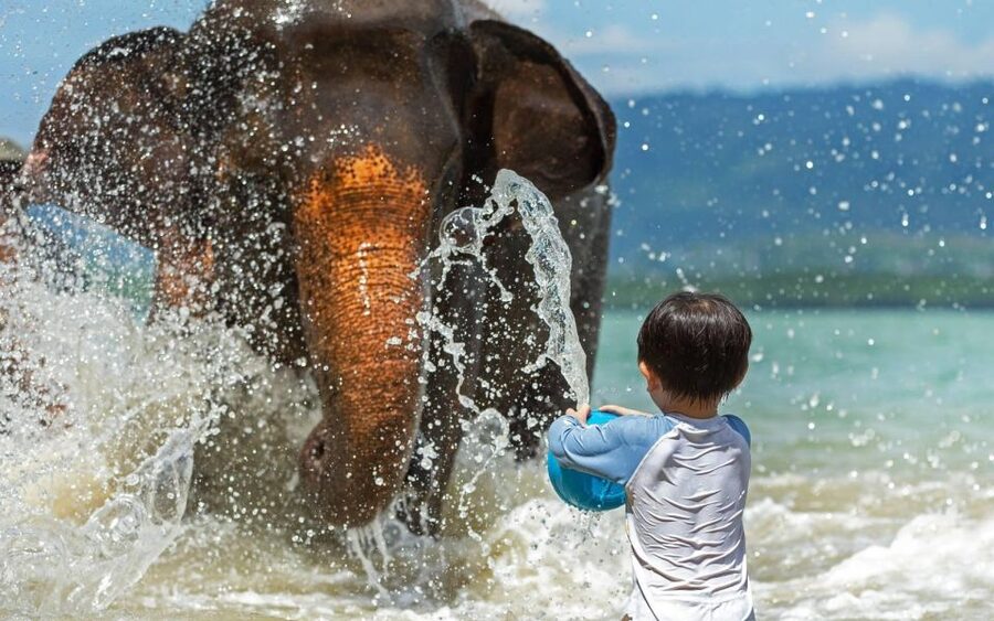 Phuket:Beach walk with elephants, rain & care. 2.5 hours - What to pack for a wet, sunny elephant beach walk