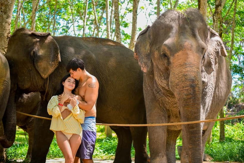 Phuket:Beach walk with elephants, rain & care. 2.5 hours - Your 2.5 hours on the elephant schedule, step by step