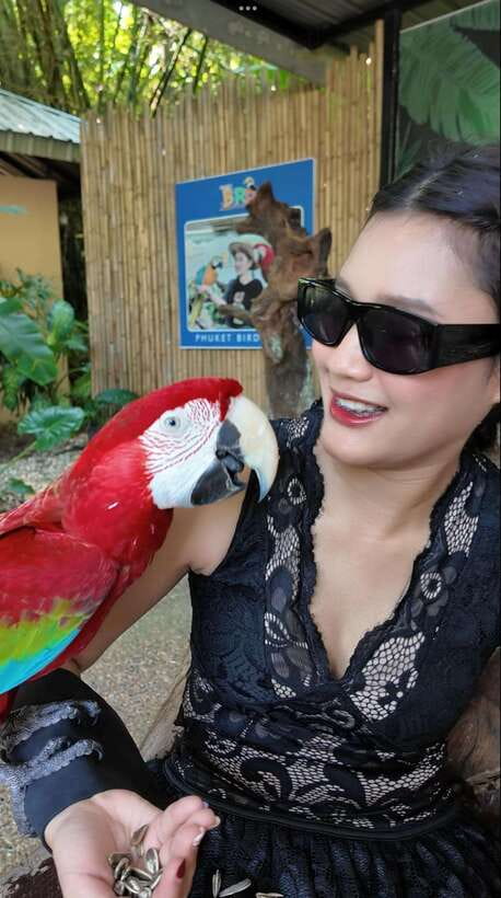 Phuket: Bird Park Entry Ticket - Entering Phuket’s bird park, and planning your one-day visit