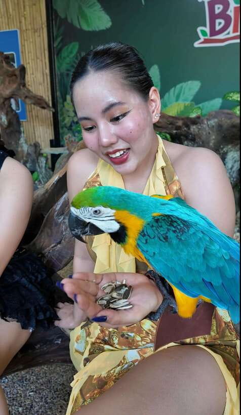 Phuket: Bird Park Entry Ticket - Bird feeding, close encounters, and what to expect when they come near