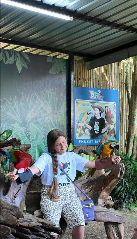Phuket: Bird Park Entry Ticket - Other friendly animals in the park: expect more than just birds