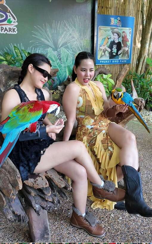 Phuket: Bird Park Entry Ticket - Timing and logistics for starting your day in Phuket