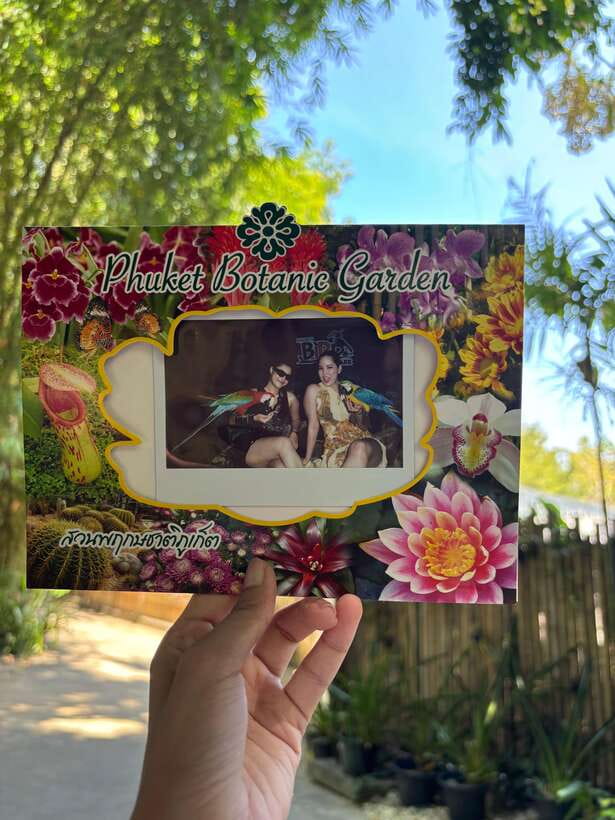 Phuket: Bird Park Entry Ticket - Who this Phuket bird park ticket is best for