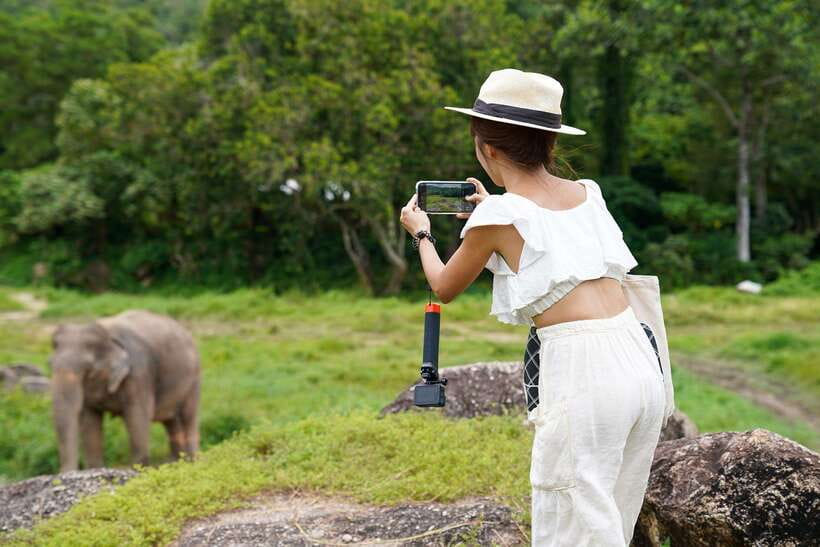 Phuket: Bukit Elephant Park Sanctuary Walk and Feed Tour - Price and value: is $51 for 90 minutes fair?