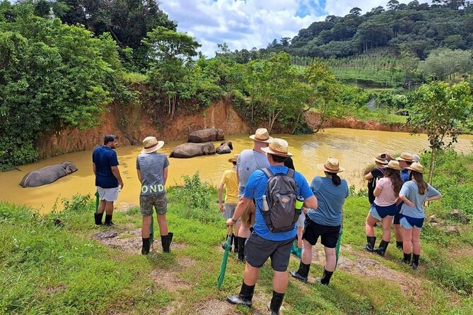 Phuket City Tour & Elephant Sanctuary – Town, Temple, Food & View - Apong Konyo Samkong and Phuket Old Town, shophouses plus snacks
