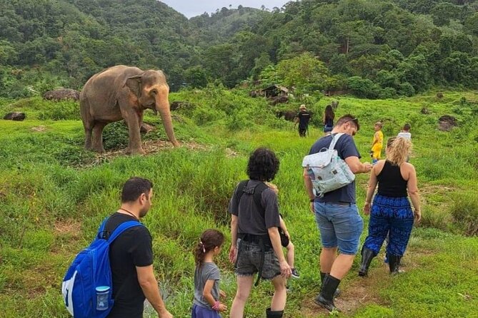 Phuket City Tour & Elephant Sanctuary – Town, Temple, Food & View - Getting picked up and staying on schedule (timing can make or break it)