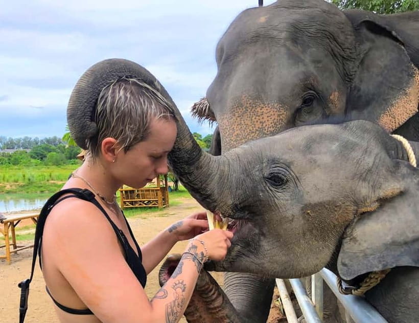 Phuket City Tour with Night Market Visit & Elephant Feeding - Key highlights at a glance
