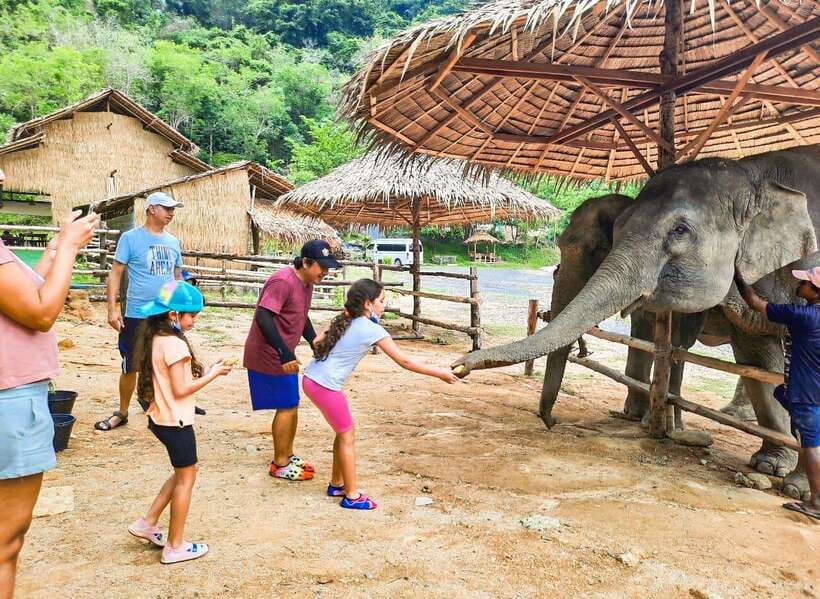 Phuket City Tour with Viewpoints, Temples & Elephant Feeding - Quick takeaways before you go
