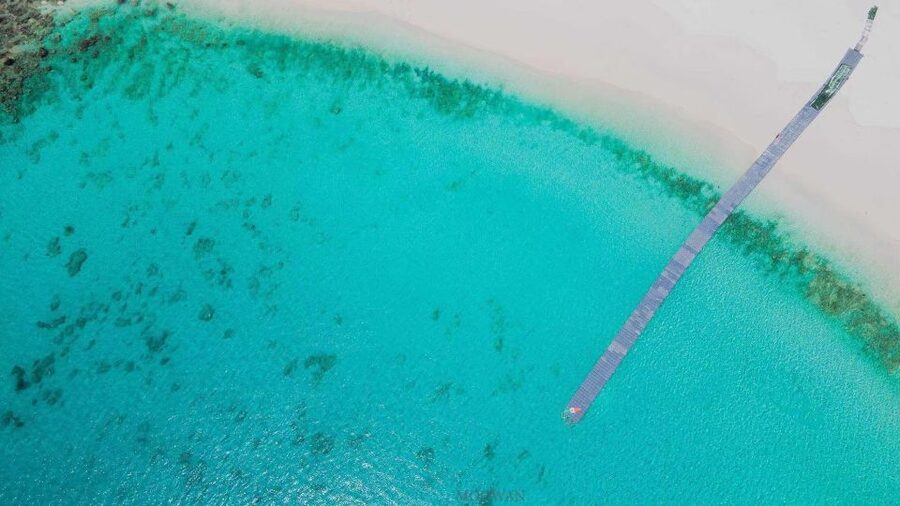 Phuket: Coral & Racha Islands Day Trip By Speedboat - Snorkeling Gear, Sea Life, and How to Turn Short Time into Big Fun