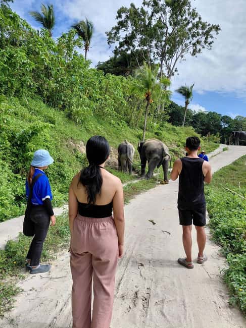 Phuket: Eco Guided Tour at Elephant Sanctuary - Why a 30 Minute Elephant Sanctuary Visit Makes Sense in Phuket