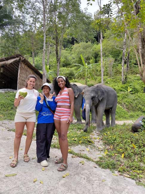 Phuket: Eco Guided Tour at Elephant Sanctuary - The Briefing That Explains Mahouts, Daily Care, and Wild vs Captive