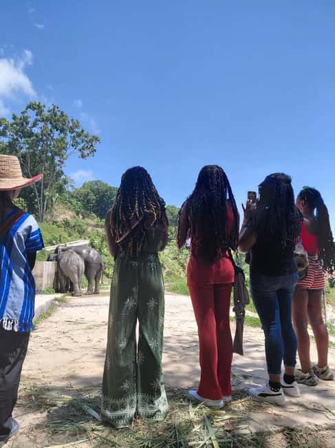 Phuket: Eco Guided Tour at Elephant Sanctuary - Getting From Your Beach Area to Hill Tribe Elephant Village