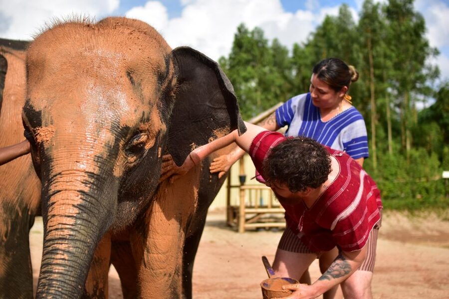 Phuket: Elephant Experience with Lunch or Dinner and Pickup - Photos, downloads, and making the memories stick