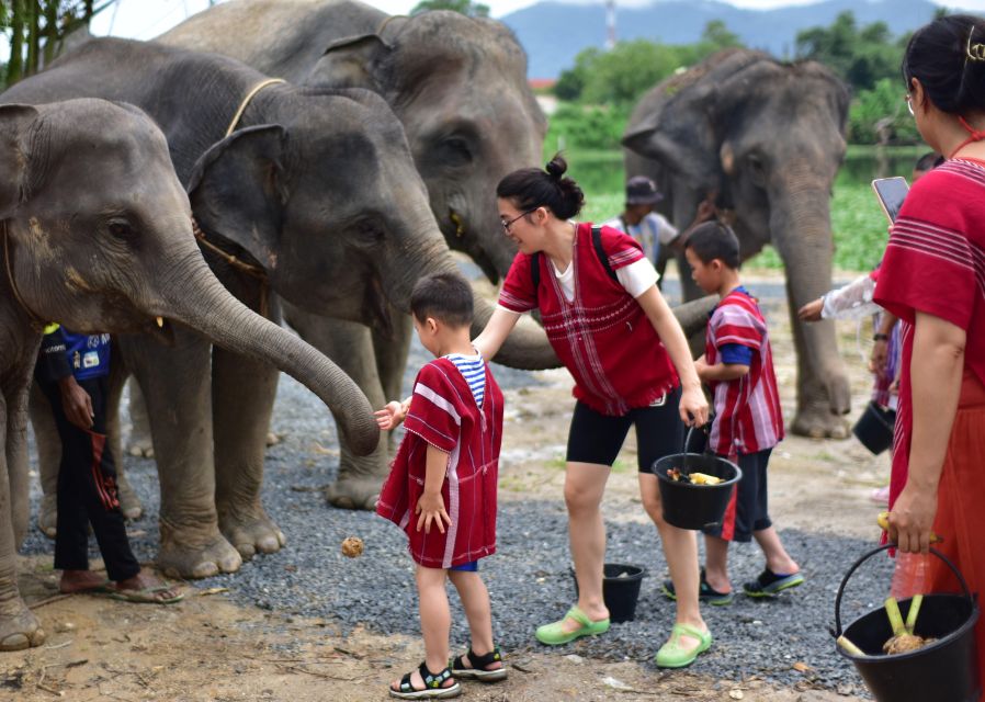 Phuket: Elephant Experience with Lunch or Dinner and Pickup - Thai buffet lunch or dinner, and why the meal timing helps