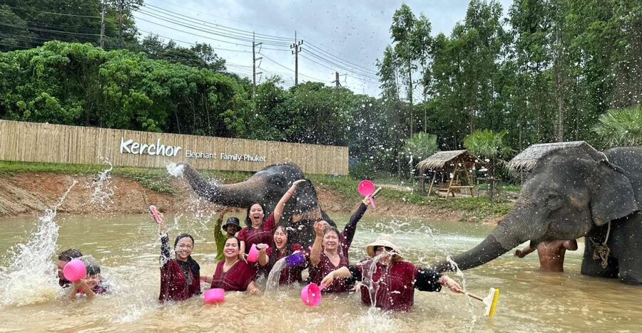 Phuket: Elephant Experience with Lunch or Dinner and Pickup - Pickup timing in Phuket, and how long your day really lasts
