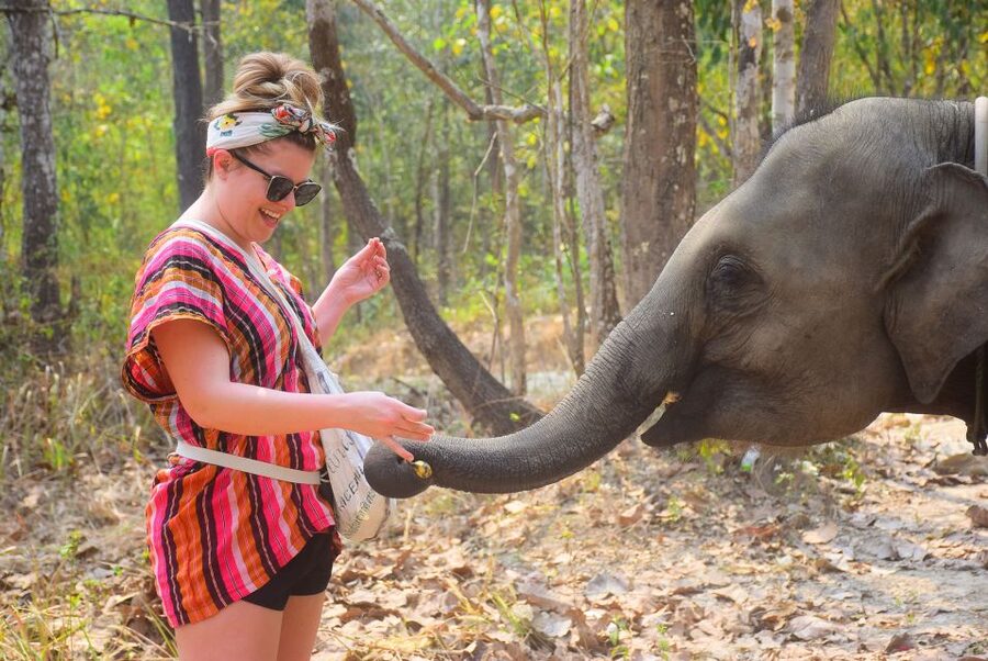 Phuket: Elephant Feeding Program - The 10-Minute Briefing: Elephant Personalities You Can Read