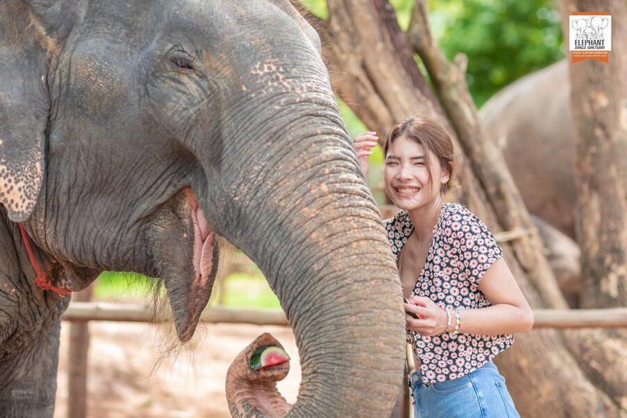 Phuket: Elephant Jungle Sanctuary Ethical Feeding Experience - Quick things to know before you go
