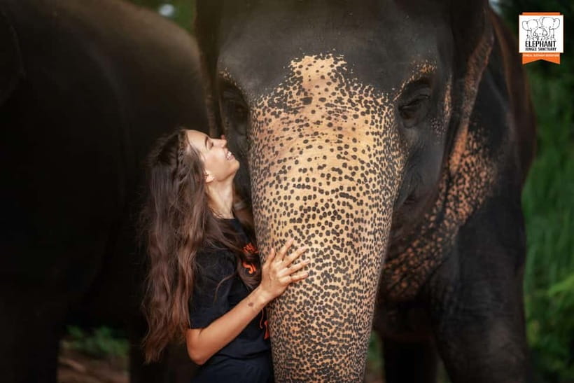 Phuket: Elephant Jungle Sanctuary Ethical Feeding Experience - Learning about each elephant from your guide