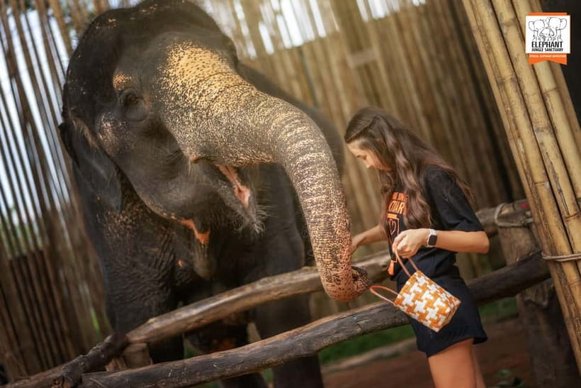 Phuket: Elephant Jungle Sanctuary Ethical Feeding Experience - Time management: a calm hour, then you cool down