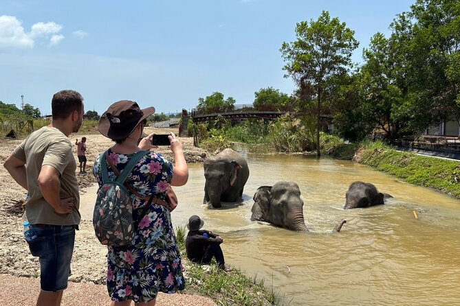Phuket: Elephant Nature Walk - Guided Tour with Transport - River wading and splashing: why the ending often steals the show